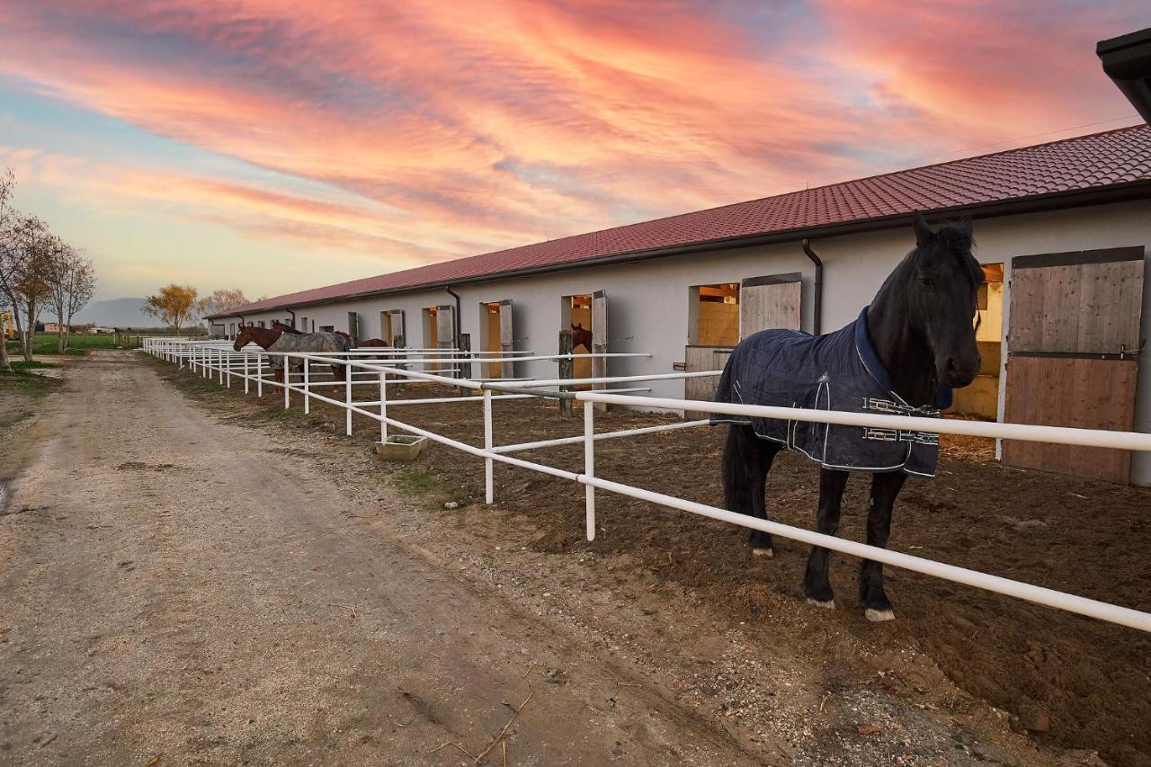 Brussa Horse Oasi Villa กาออร์เล ภายนอก รูปภาพ